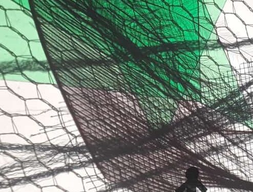 Infinitamente piccolo. In collaborazione con Cinema dei Piccoli