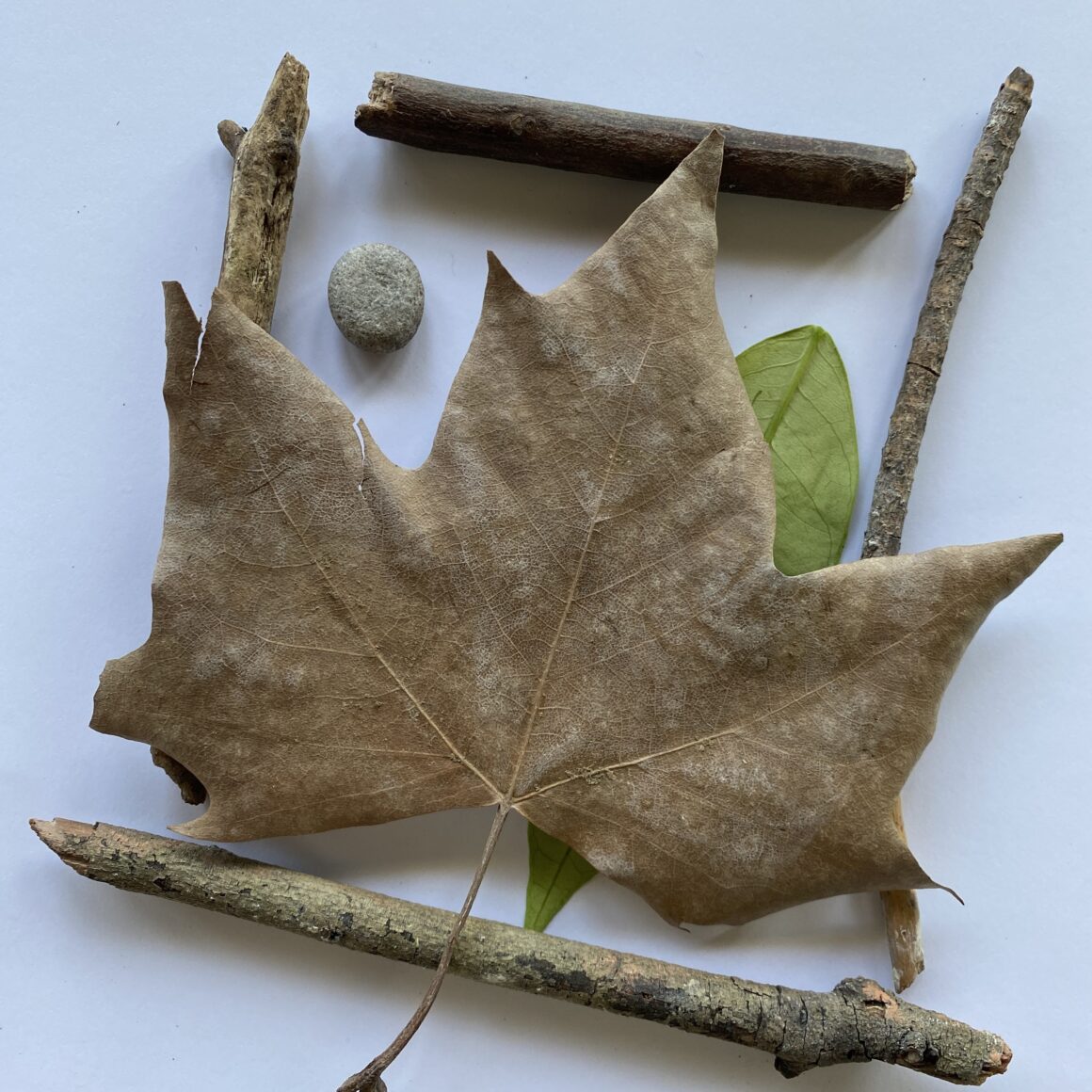 Natura tra le mani Natura tra le mani
